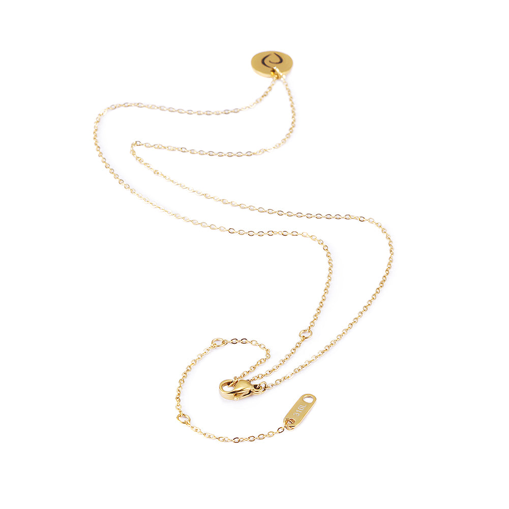 Stainless steel gold medal necklace-NSSN719STGC