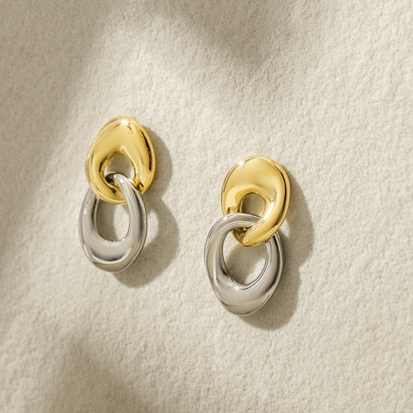 Load image into Gallery viewer, Two Tone Circle Earrings
