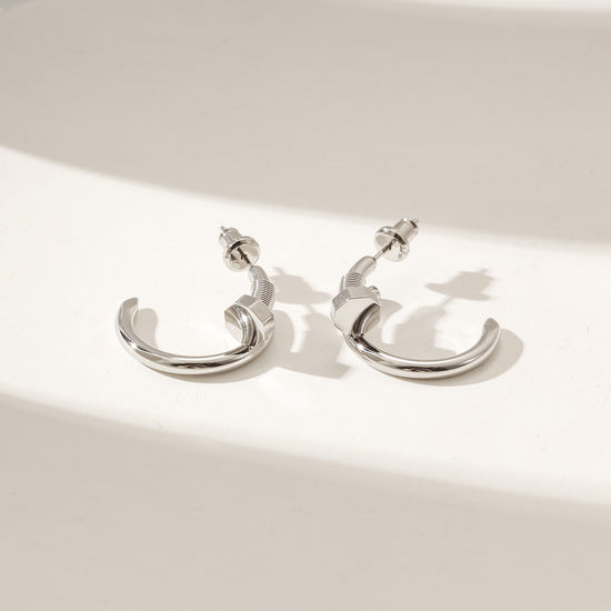 Silver large screw earrings-SCE475STWGS