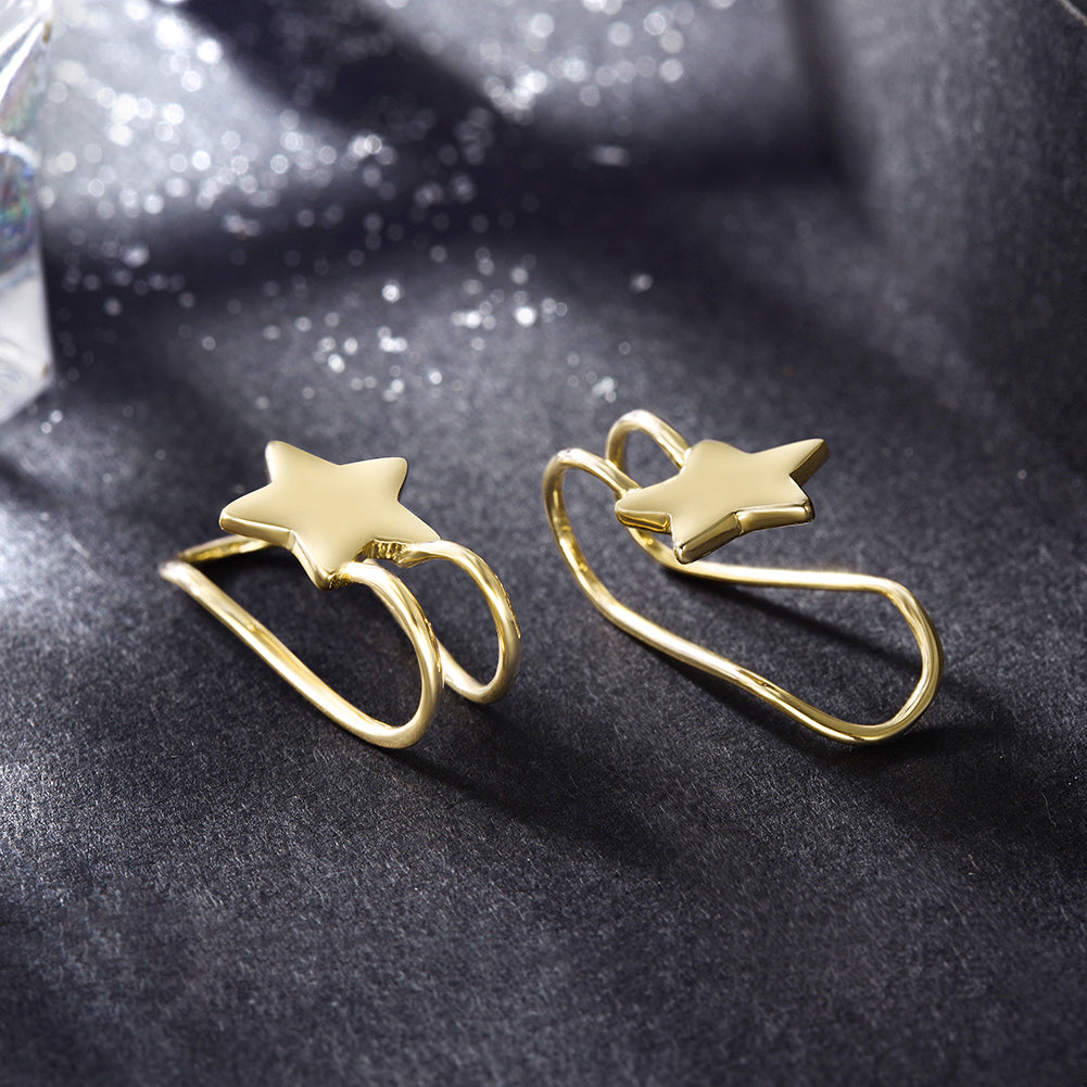 Five pointed star earrings-SSE111