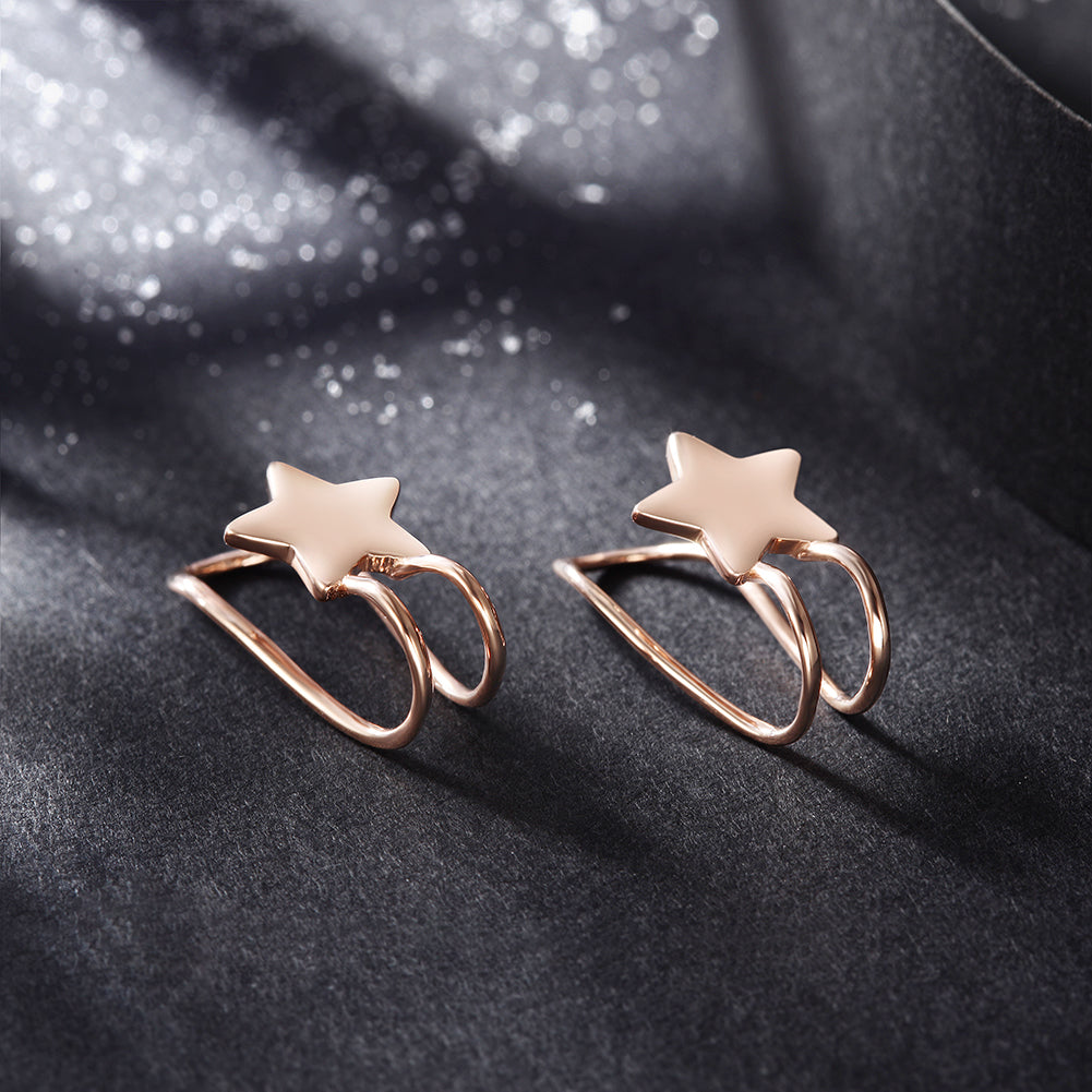 Five pointed star earrings-SSE111