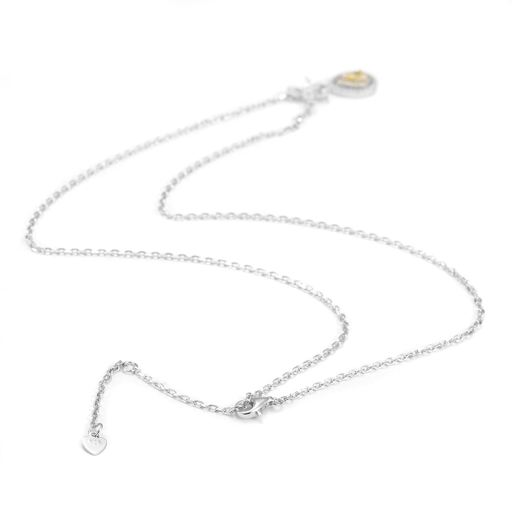 Water Drop Crystal Pendant Necklace - SSN144WGZD